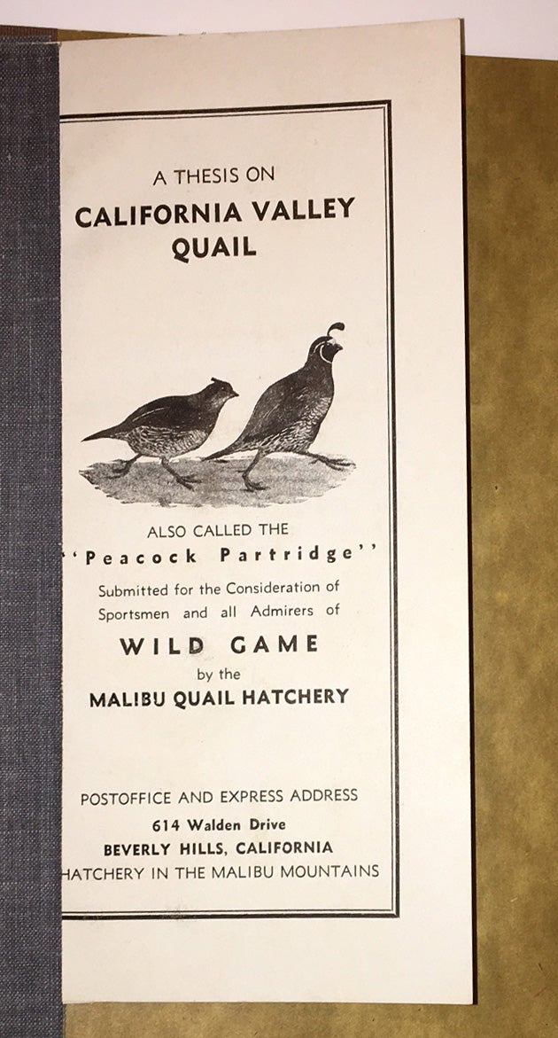 thesis title about quail
