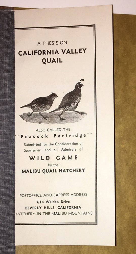 Item #20344 A Thesis on California Valley Quail also Called the "Peacock Partridge" Henry? Chamberlain.