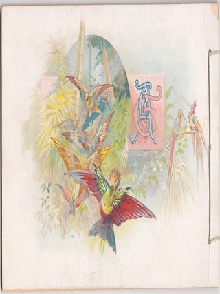 Birds of the Tropics