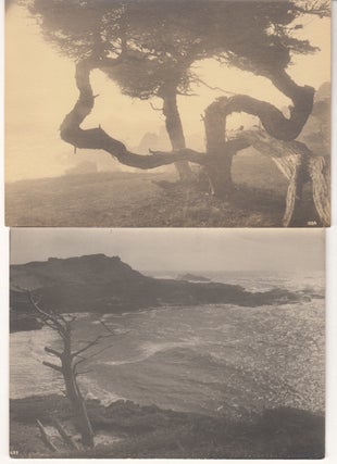 Collection of Original Photographs in and around the Monterey Peninsula