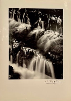 Item #21900 Fern Spring Dust, Yosemite Valley, California (blank card). Ansel Adams