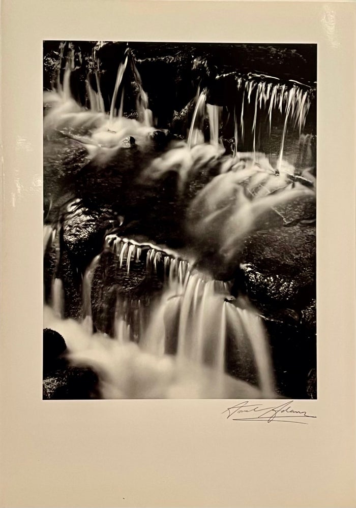 Item #21900 Fern Spring Dust, Yosemite Valley, California (blank card). Ansel Adams.
