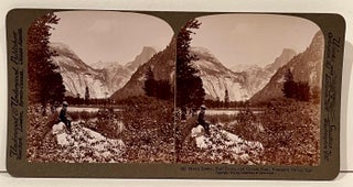 Yosemite Valley Through the Stereoscope with 24 Albumen Stereoscope Cards