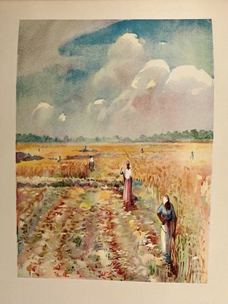 A Carolina Rice Plantation of the Fifties